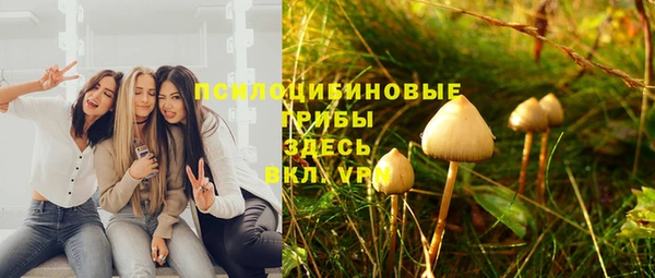 бутират Осинники